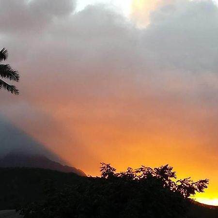 Paradise Palms B & B Кайлуа Екстер'єр фото