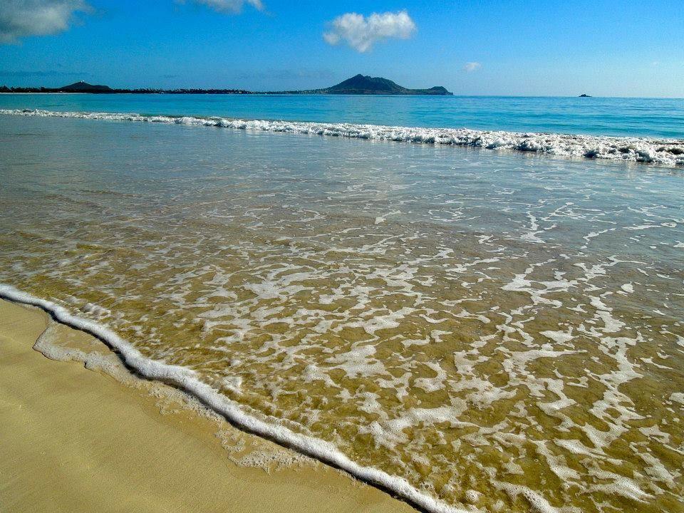 Paradise Palms B & B Кайлуа Екстер'єр фото
